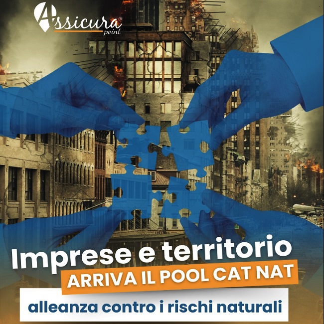 consulenza polizze assicurative consulenza polizze assicurative